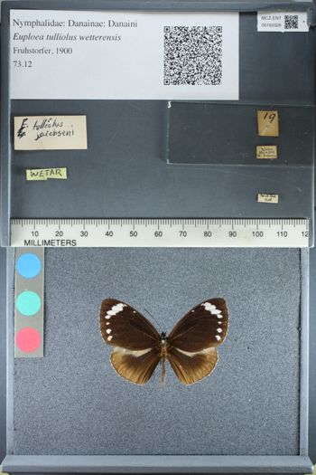 Media type: image;   Entomology 160328